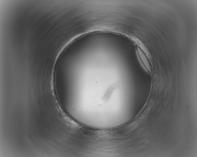 X0000074930904200609151936