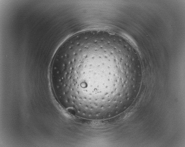 X0000074930907200609151935