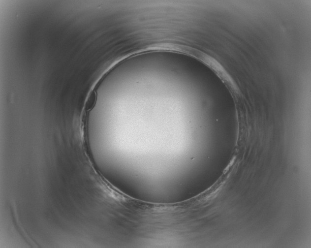 X0000074930908200609151935