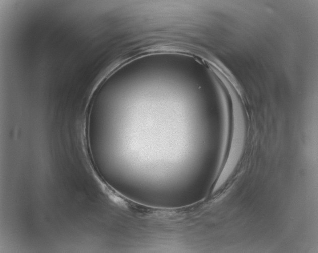 X0000074930909200609151935