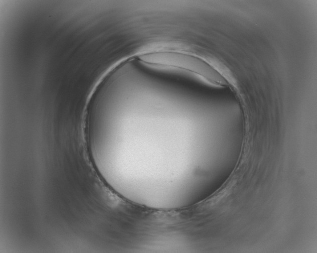 X0000074930912200609151935