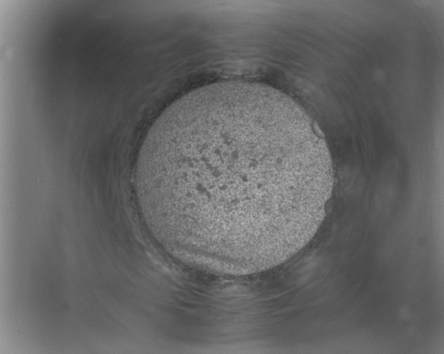 X0000074930913200609151935