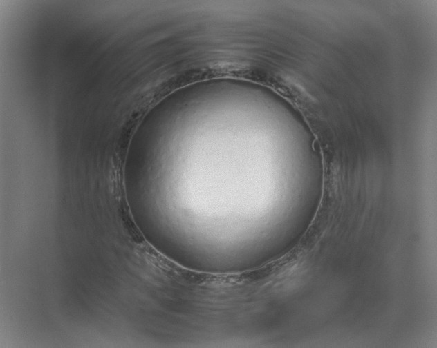 X0000074930917200609151935