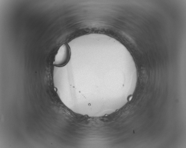 X0000074930918200609151935