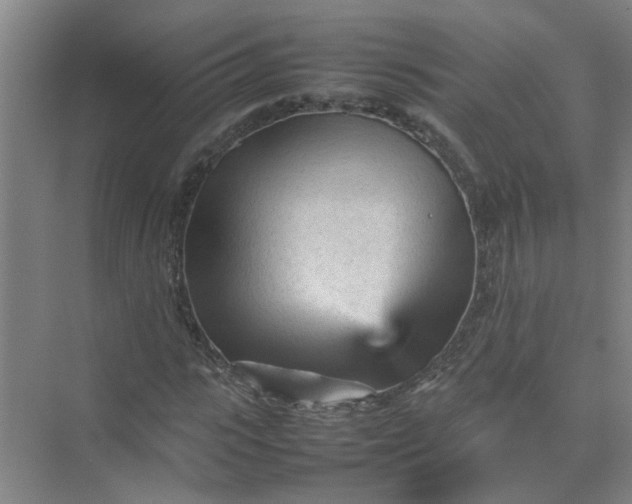 X0000074930919200609151935