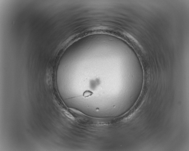 X0000074930921200609151935