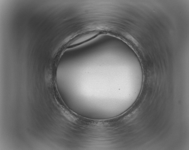 X0000074930922200609151935