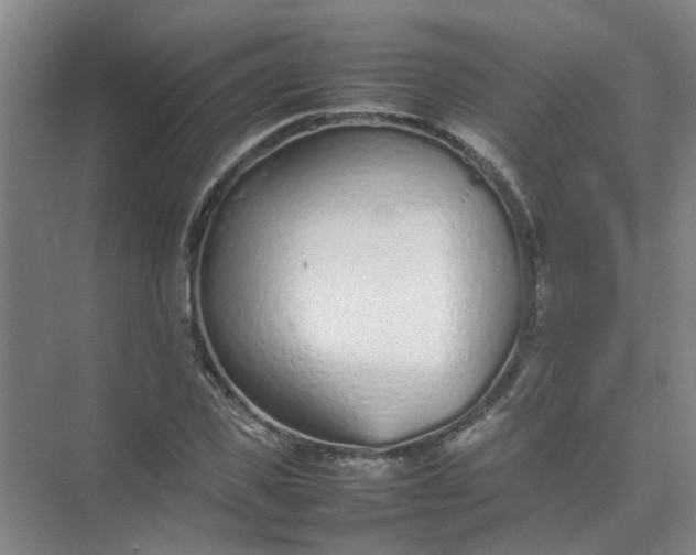 X0000074930925200609151935