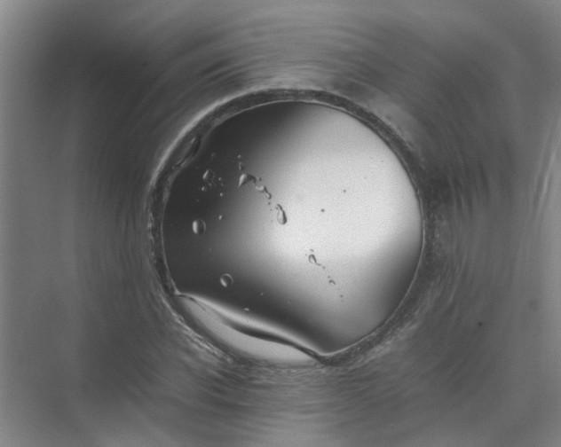 X0000074930926200609151935