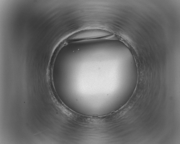 X0000074930928200609151935