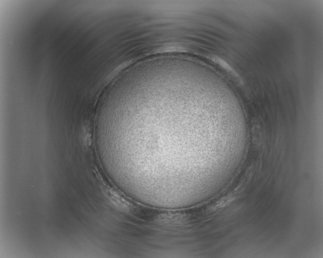 X0000074930929200609151935