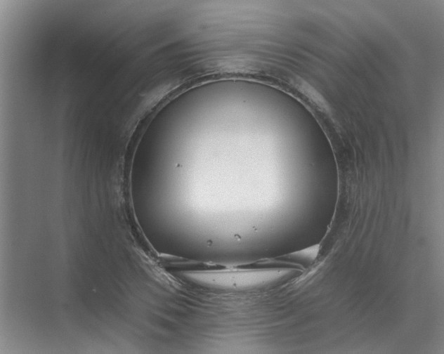 X0000074930930200609151935