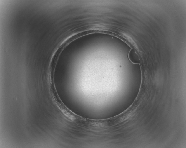 X0000074930931200609151935