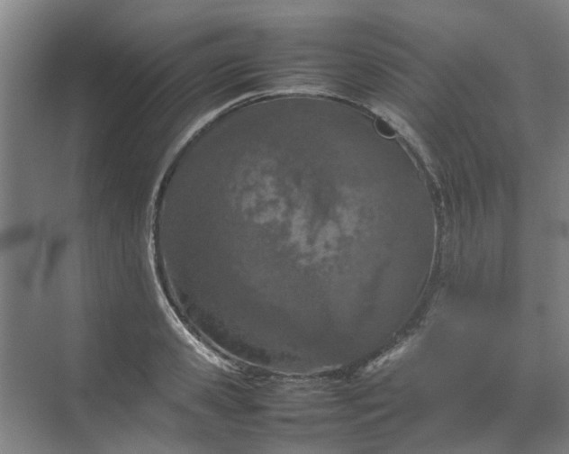 X0000074930941200609151935