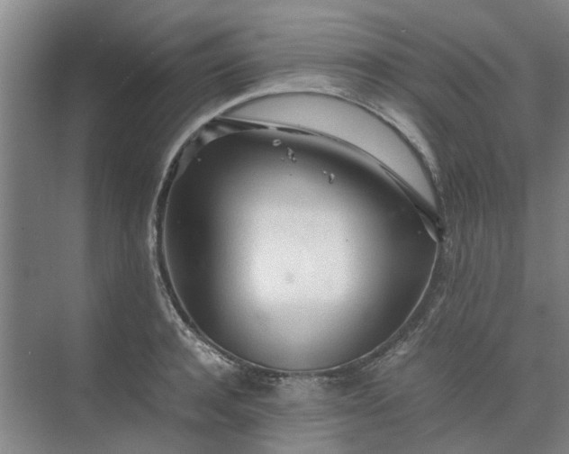 X0000074930944200609151935