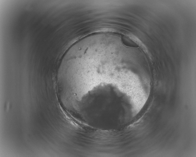 X0000074930945200609151935