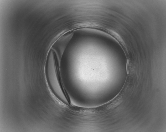 X0000074930946200609151935