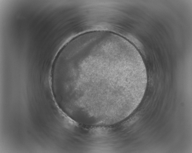 X0000074930950200609151935