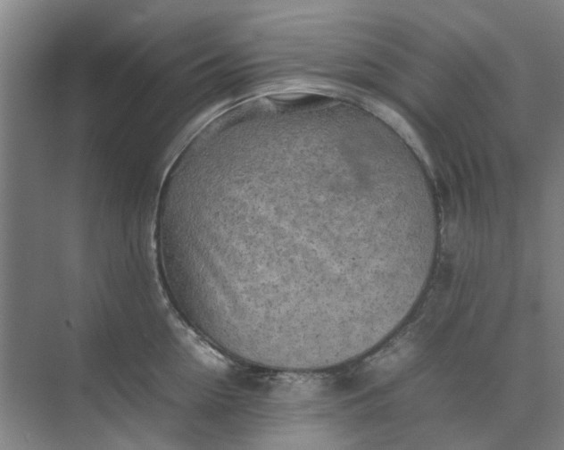 X0000074930954200609151935