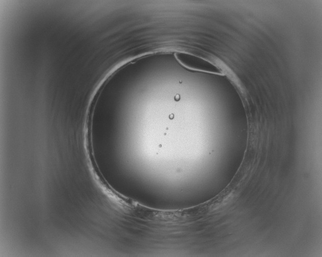 X0000074930955200609151935