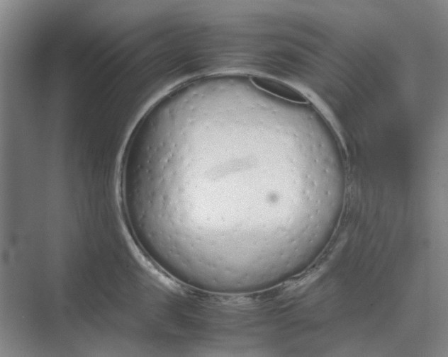 X0000074930957200609151935