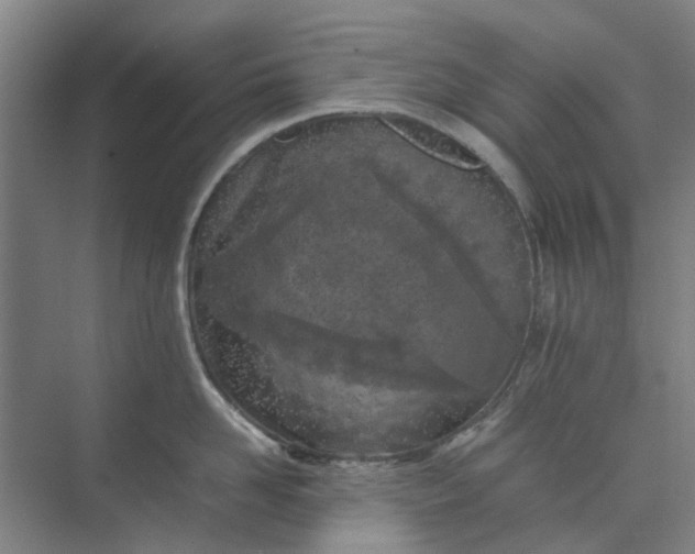 X0000074930958200609151935