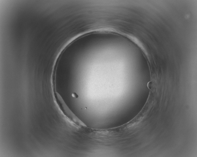 X0000074930959200609151935