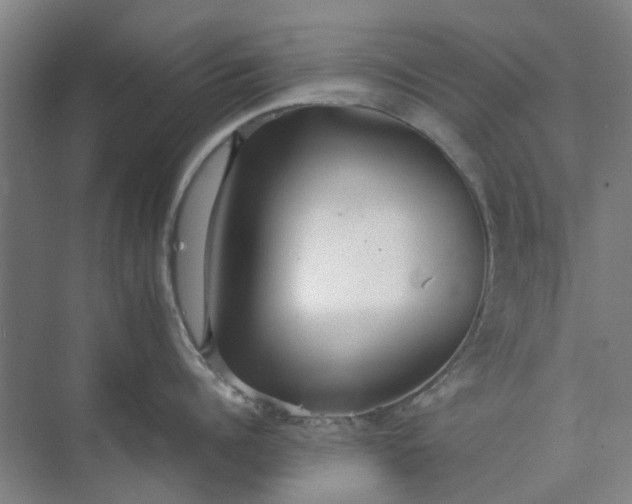 X0000074930960200609151935