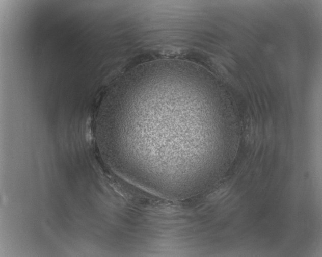 X0000074930962200609151935