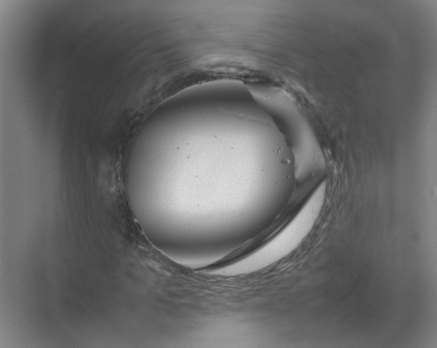 X0000074930965200609151934