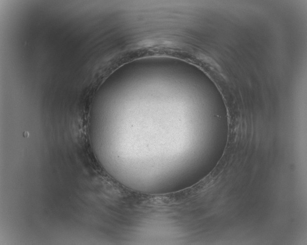 X0000074930966200609151934