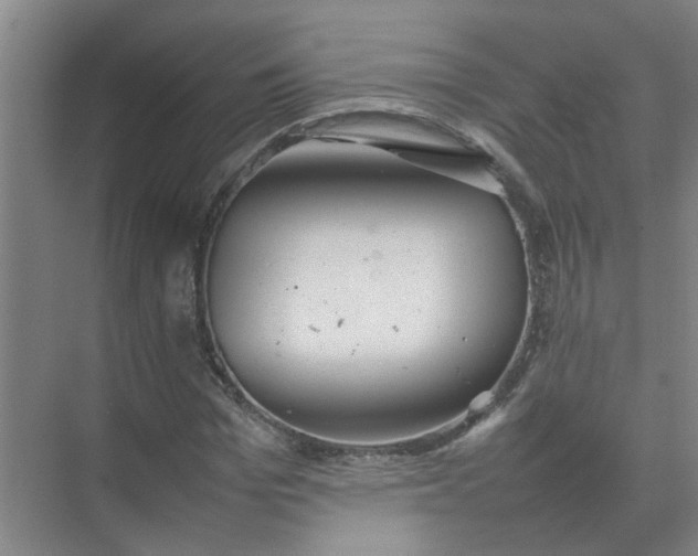 X0000074930969200609151934