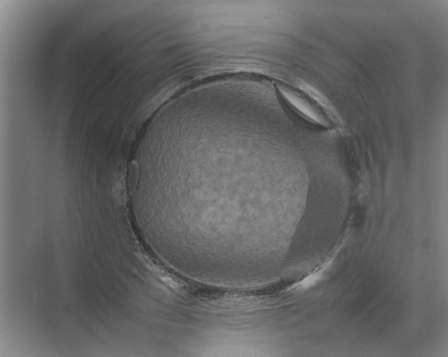 X0000074930977200609151934