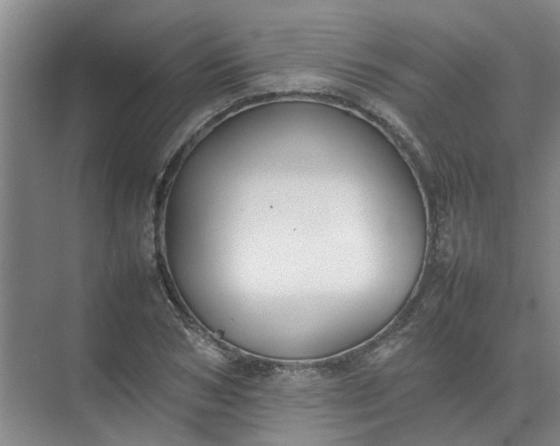 X0000074930978200609151934