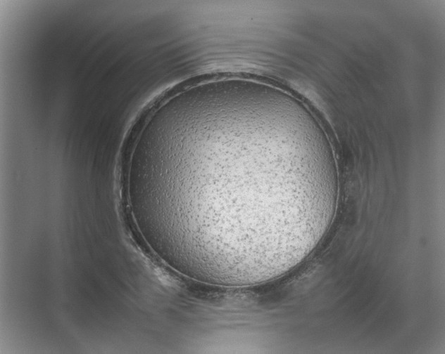 X0000074930979200609151934