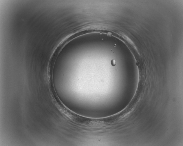 X0000074930981200609151934