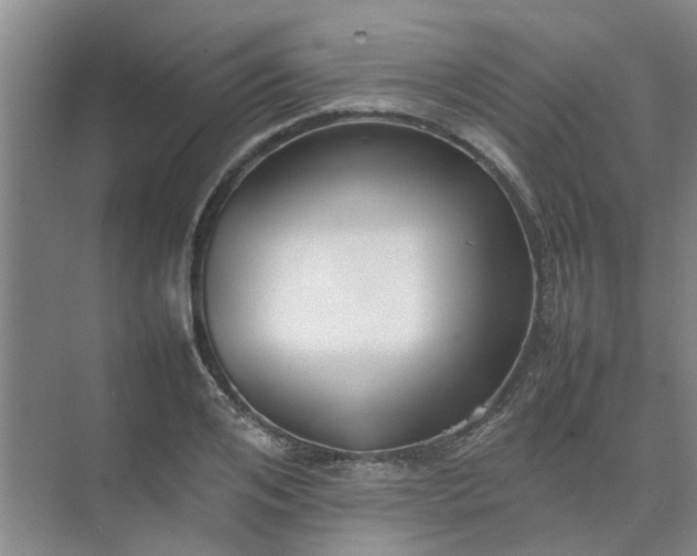 X0000074930984200609151934