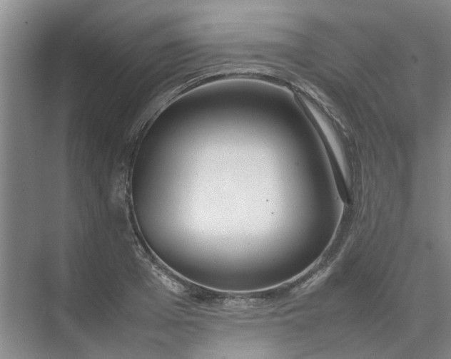 X0000074930985200609151934