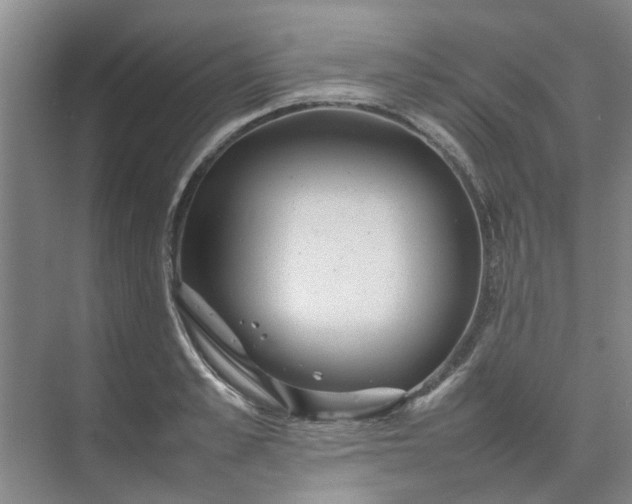 X0000074930989200609151934