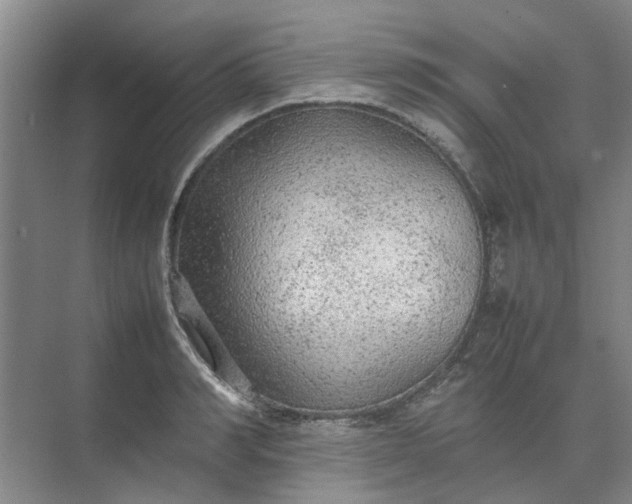 X0000074930990200609151934