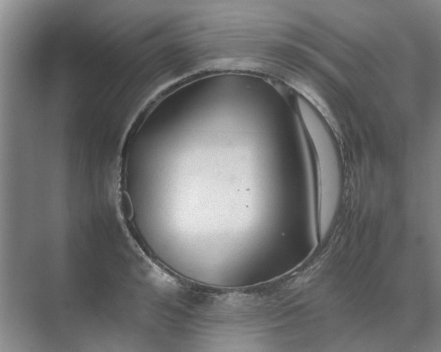 X0000074930992200609151934