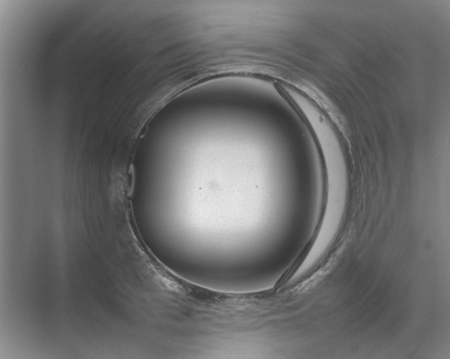 X0000074930993200609151934