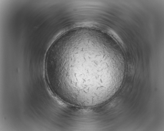 X0000074930994200609151934