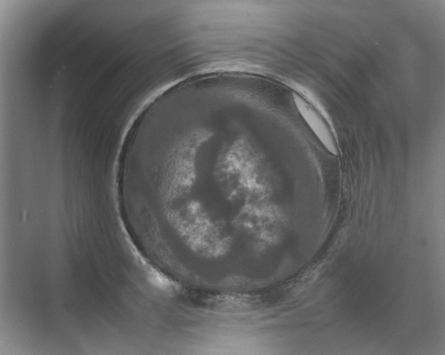 X0000074930995200609151934