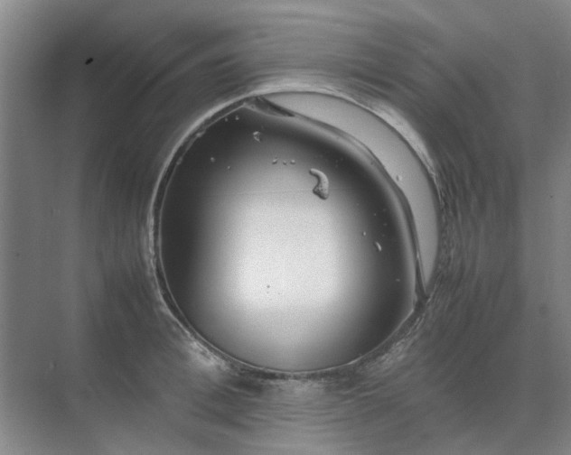 X0000074930996200609151934