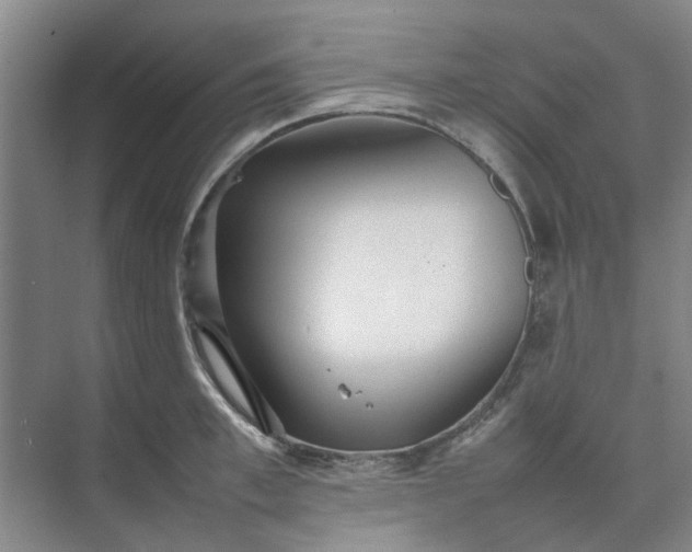 X0000074930997200609151934