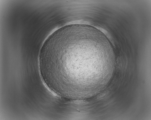 X0000074930998200609151934