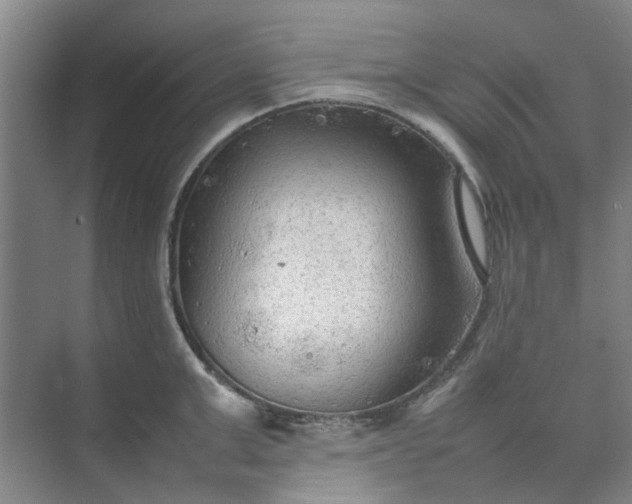 X0000074930999200609151934