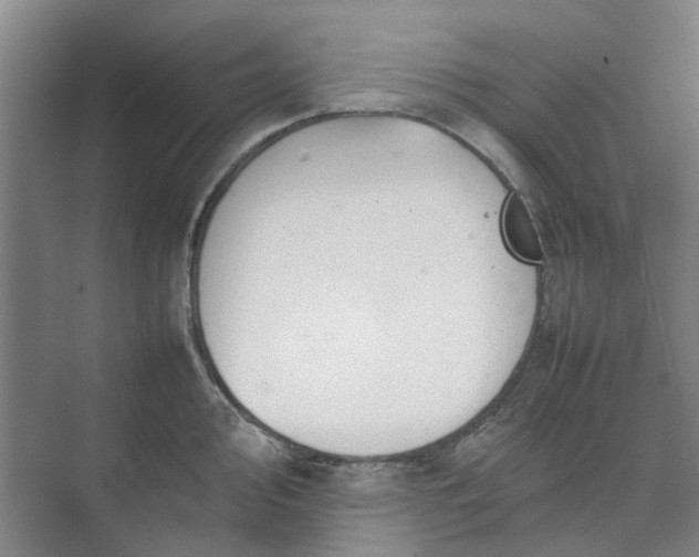 X0000074931000200609151934