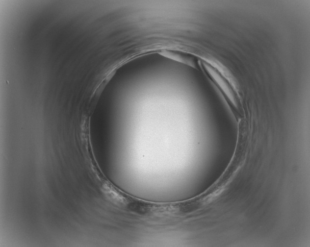 X0000074931001200609151934